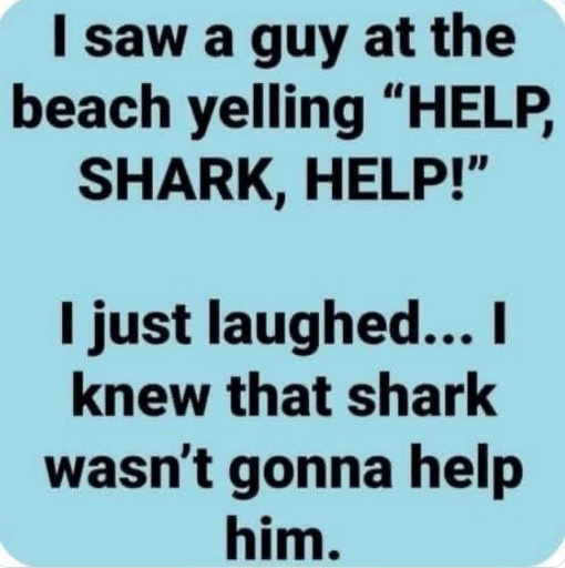 z-shark.jpg