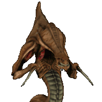 zerg.gif