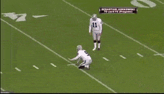 ZestyTornAfricanmolesnake-max-1mb (2).gif