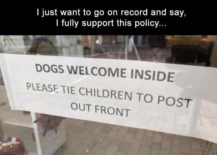 zfunny-6.jpg
