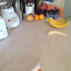zrqipndS470Ry.gif