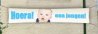 banner.jpg