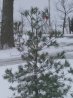 100_2857.jpg