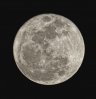 Moon low on Horizon_1977.jpg