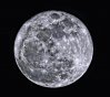 Moon 1 half way up - Blue filter_2024.jpg