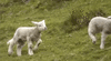 55E9D5BF-3C39-43BF-9E4C-12C7539B9E22.gif