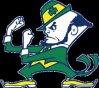 Fighting Irish.jpg