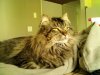 downsized_0506021554.jpg