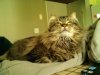 downsized_0506021554a.jpg