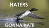 Loon haters.jpeg