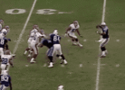 Lateral.gif