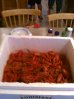 Crawfish Boil.jpg