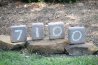 DSC_0505.JPG DSC_0505.JPG