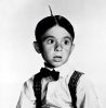 alfalfa-hairstyle1.jpg