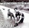 losingyourteeth.jpg