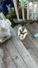 florence bunny.jpg
