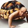 SenseiTurtleMan