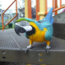 Birdbrain1969