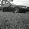 Mustang Nick
