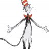 Cat in the hat