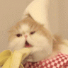 BananaCat