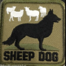 Sheep DAWG