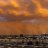 Phoenix Brownout 104