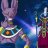 Beerus the Destroyer