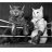 Glovesoncats