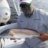 27Redfish