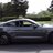 shelby350