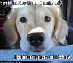 836f0a61bc42884c77994d224e4d33c6.jpg