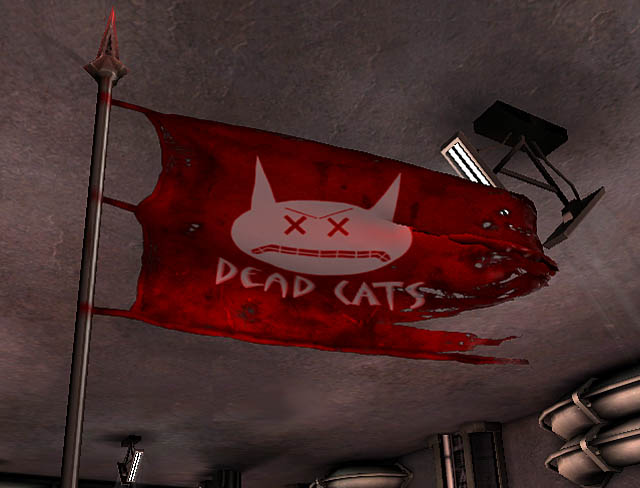 reddcflag.jpg