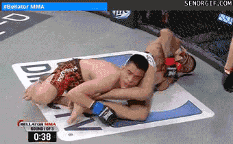 giphy.gif