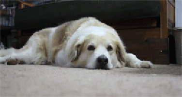 200_s.gif