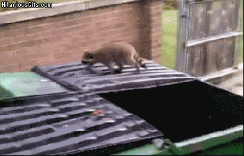 VzWxXfJ.gif