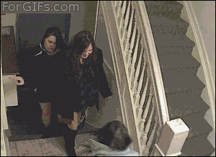 giphy.gif