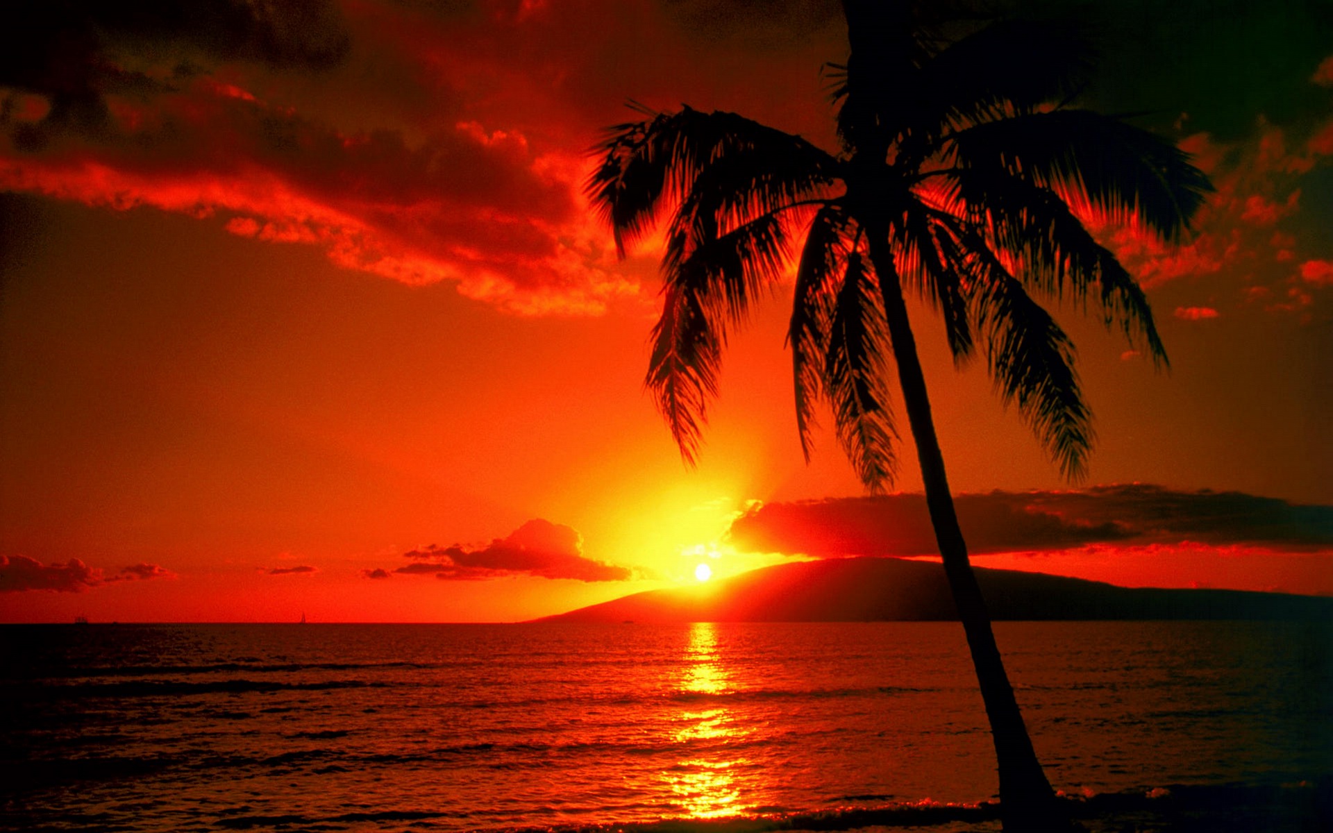 sunset-7.jpg
