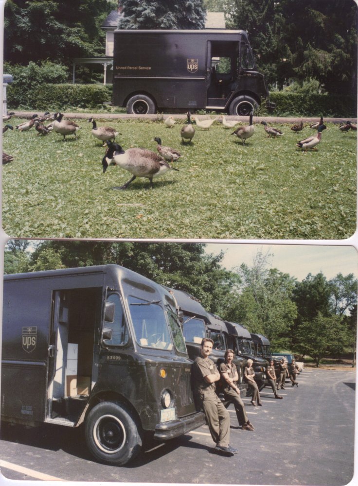 1q3k07.jpg