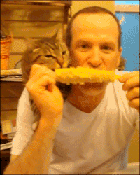 200w.gif