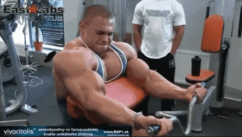 tenor.gif