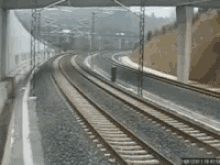 tenor.gif