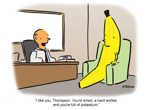 work-cartoons-08-ss.jpg