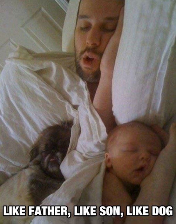like_father_like_son_like_dog.jpg