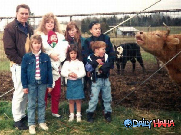 mooooooooo.jpg