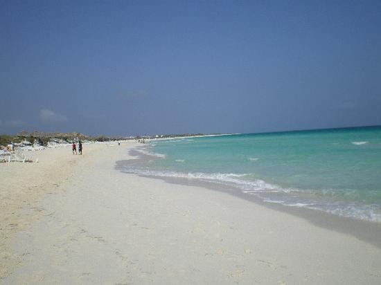 plage.jpg