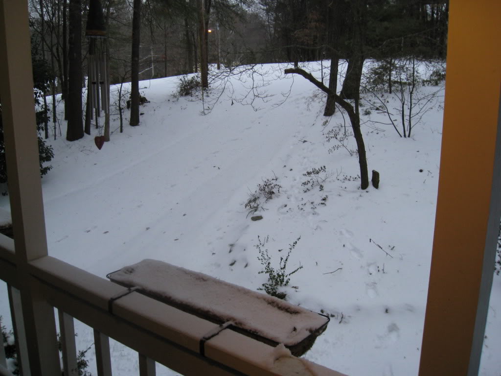 IMG_3128.jpg