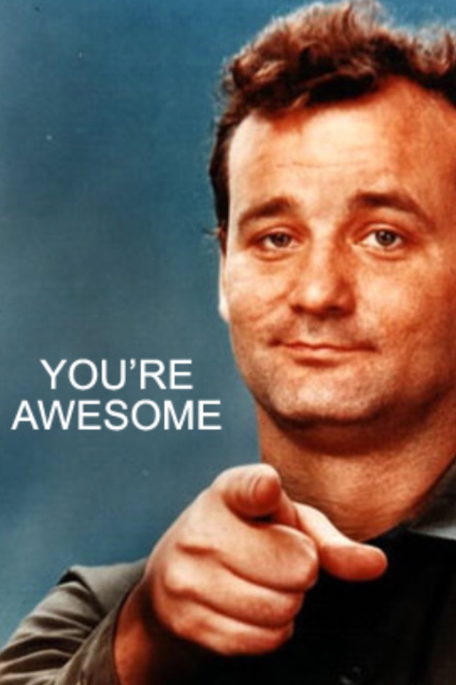 4a8b1f3209257c94369ea8f15de8d577--you-are-awesome-im-awesome.jpg