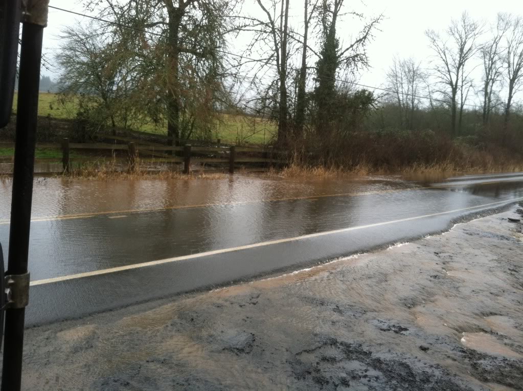 flood1.jpg