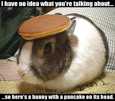 pancake_bunny.jpg